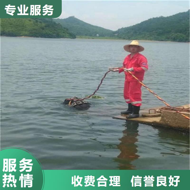 水下水下探测仪信誉良好