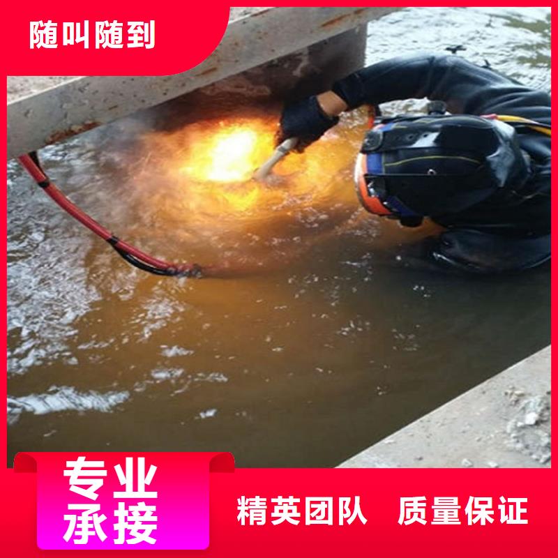 水下 潜水救援2025专业的团队