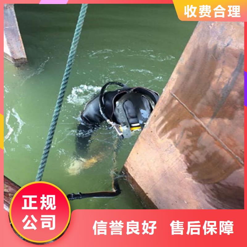 水下-水下检测团队2025专业的团队
