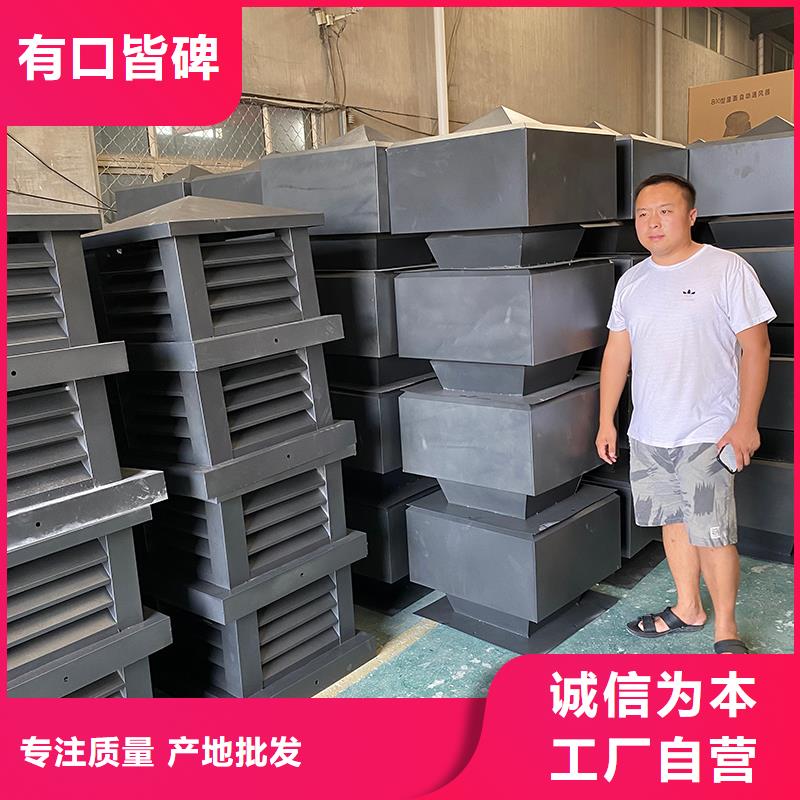 定安县G系列排烟道矩形风帽信息