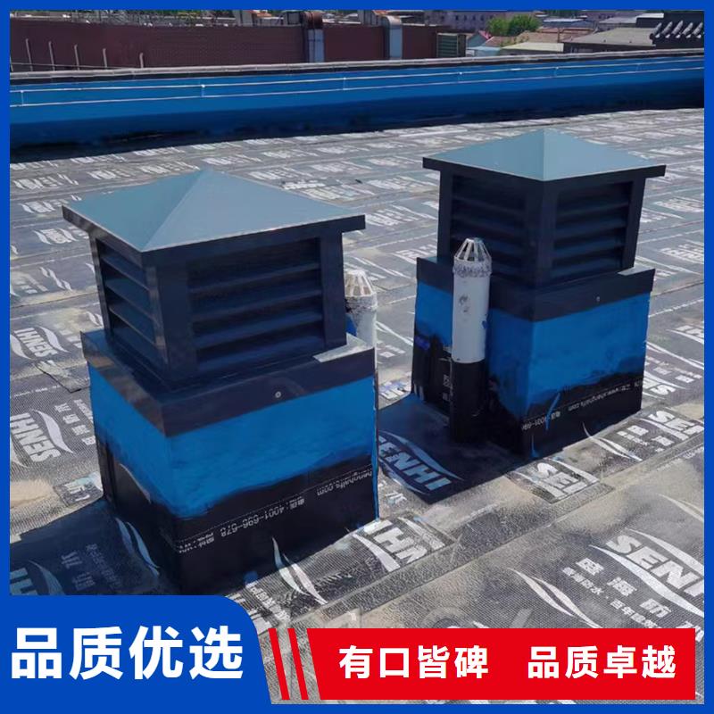 本溪C系列烟道防倒灌风帽诚信企业