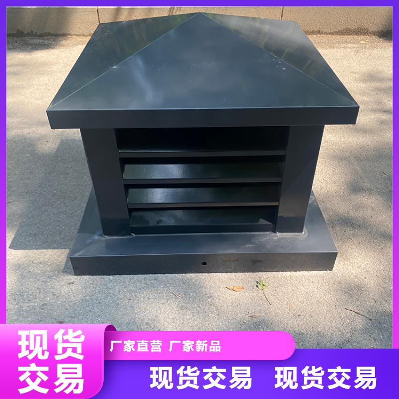 止回式风帽实力厂家