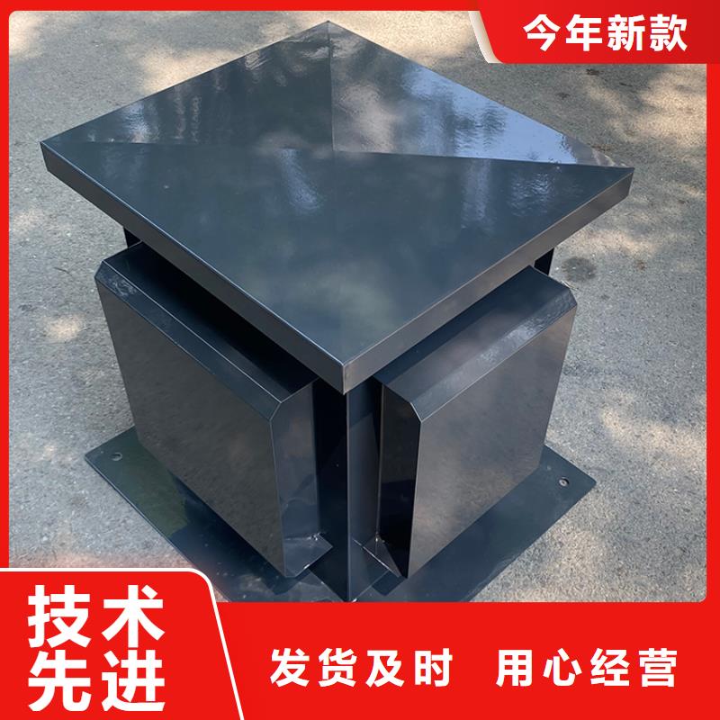 D系列排气道风帽实力老厂