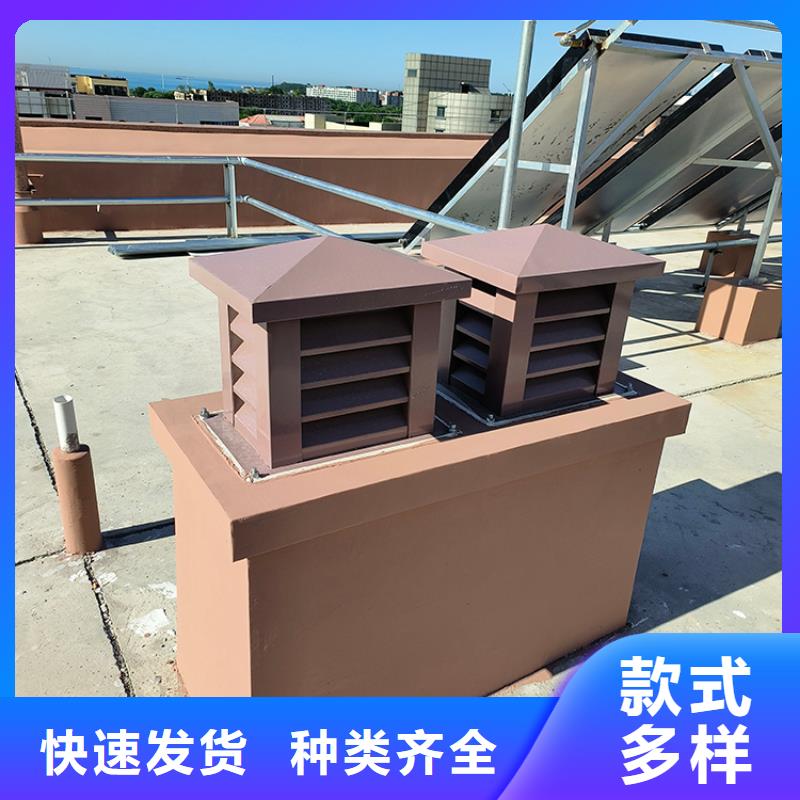 变压抜气风帽实体大厂