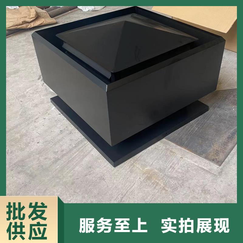 D系列排气道风帽实力老厂