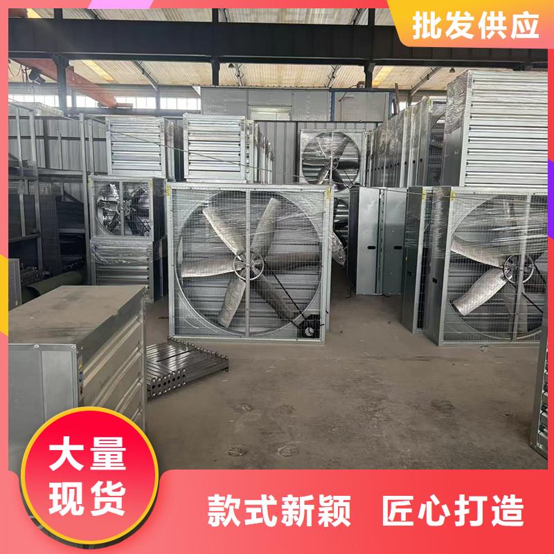 防倒灌风帽实体厂家
