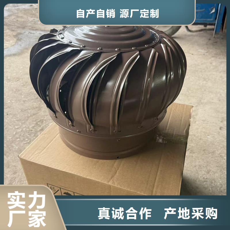 D系列四孔风帽不锈钢材质