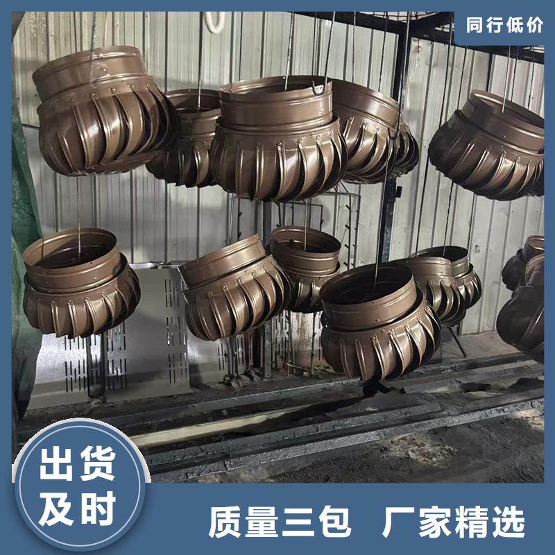 D系列排气道风帽实力老厂