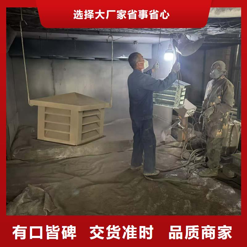 县A-FM-BPS型风帽根据尺寸定制