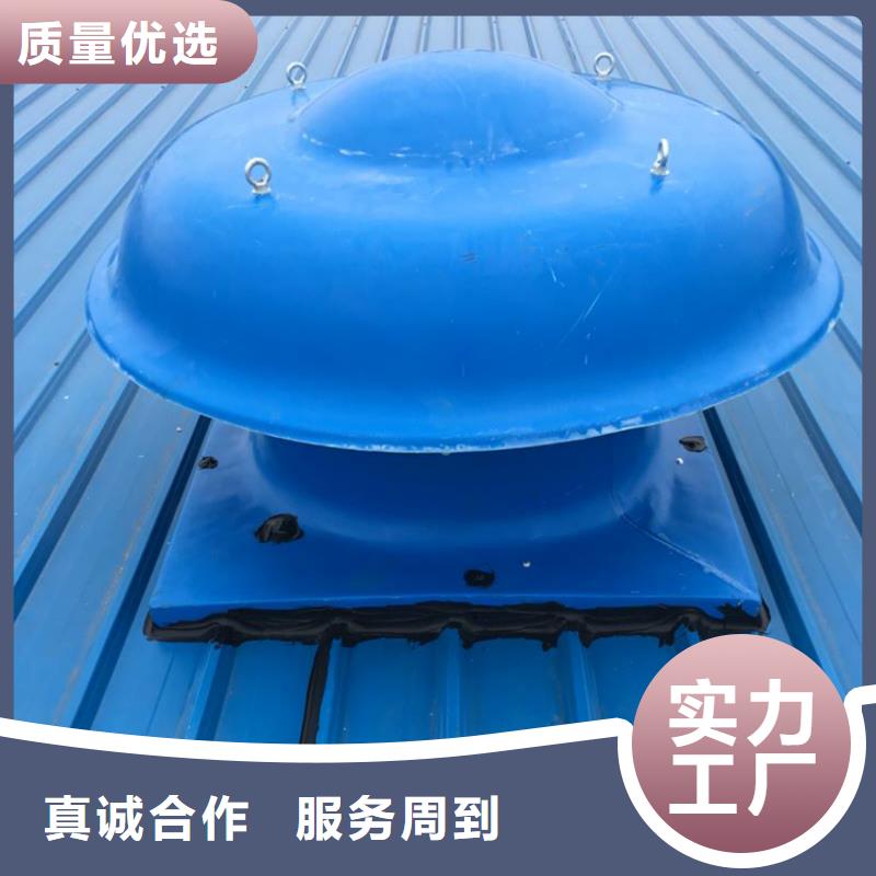 316L材质无动力风帽厂家现货