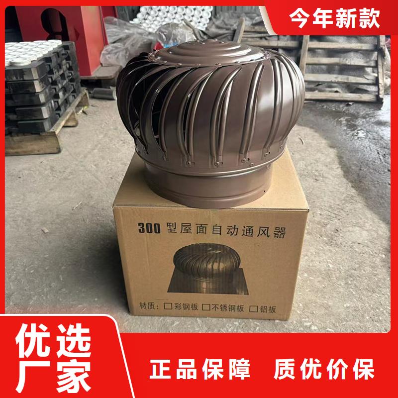 A系列直径300BPS型风帽现货速发