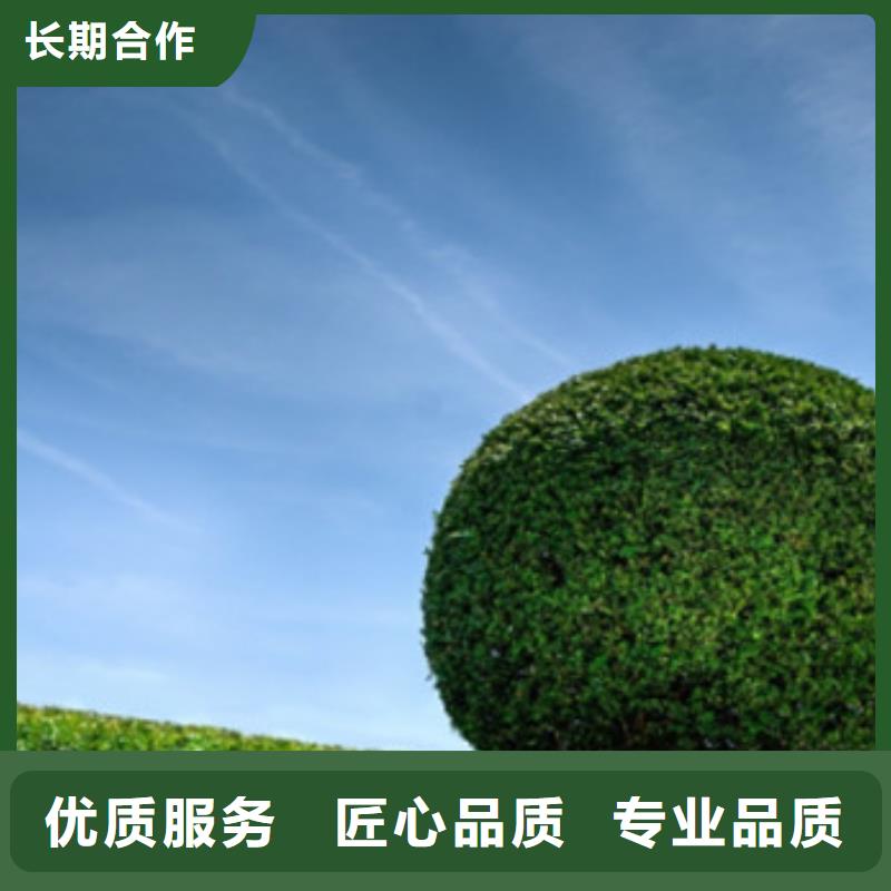 工程预算投标报价品质卓越