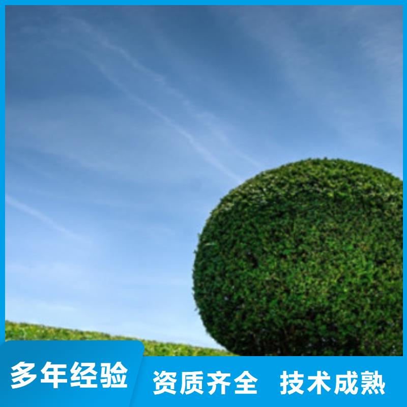 南京做工程预算》《造价咨询