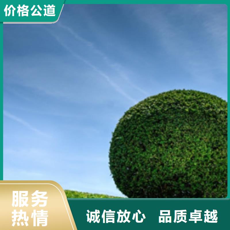 工程预算-【工程全程估算】效果满意为止