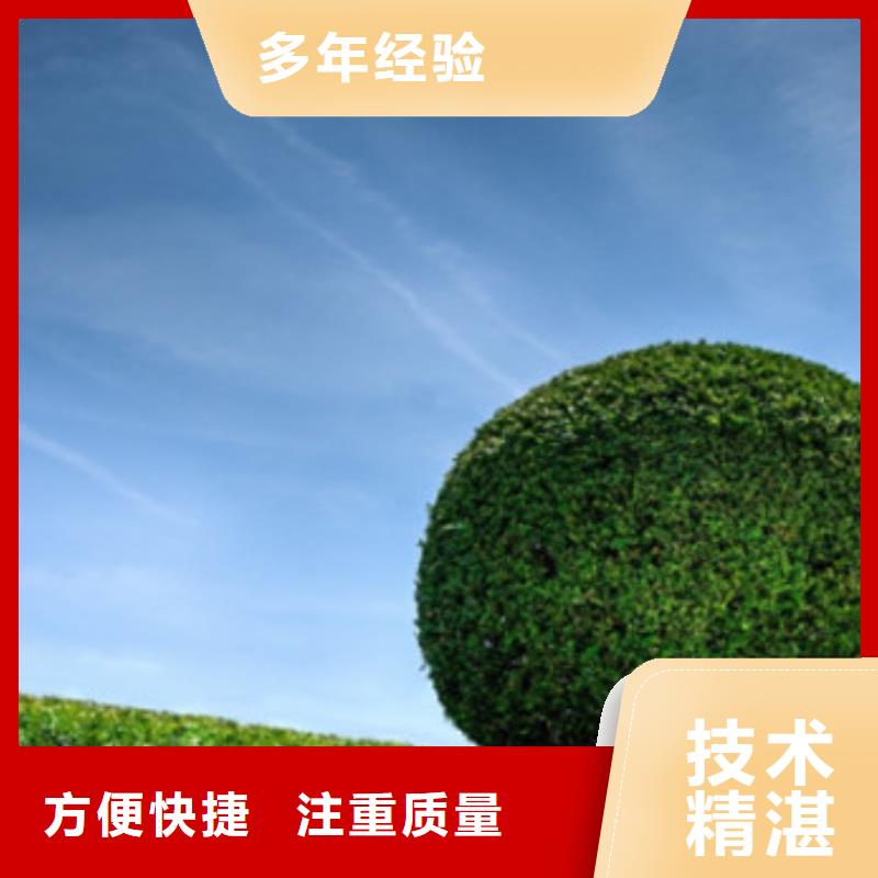 工程预算工程概算实力商家