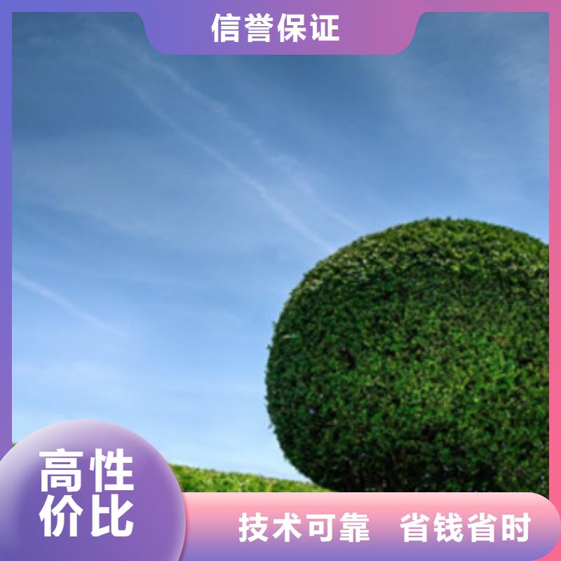 工程预算【工程概算】诚实守信