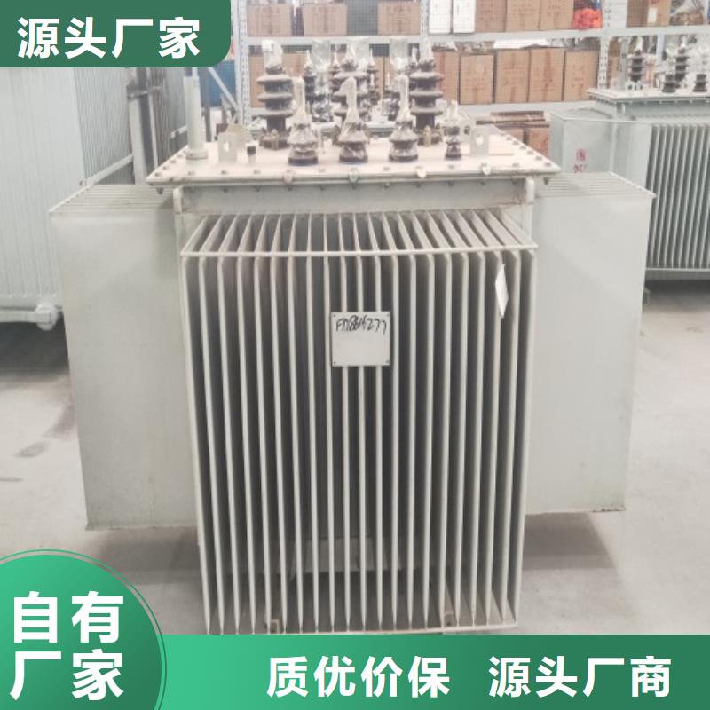 s20变压器能耗级别信赖