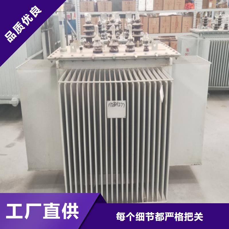 s20变压器标准规定售后无忧
