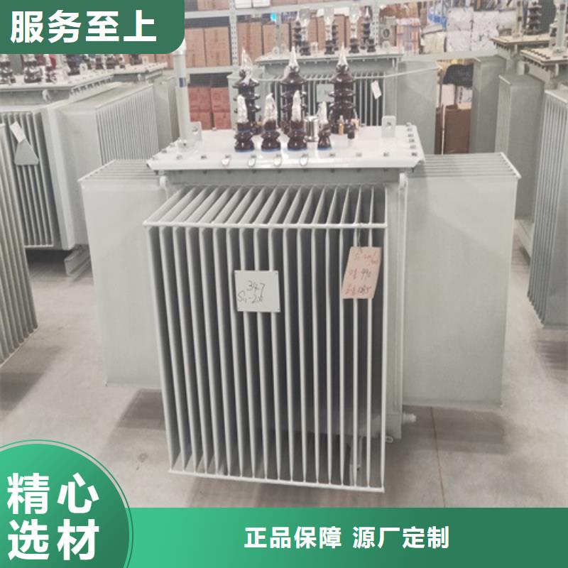 s20变压器标准规定售后无忧