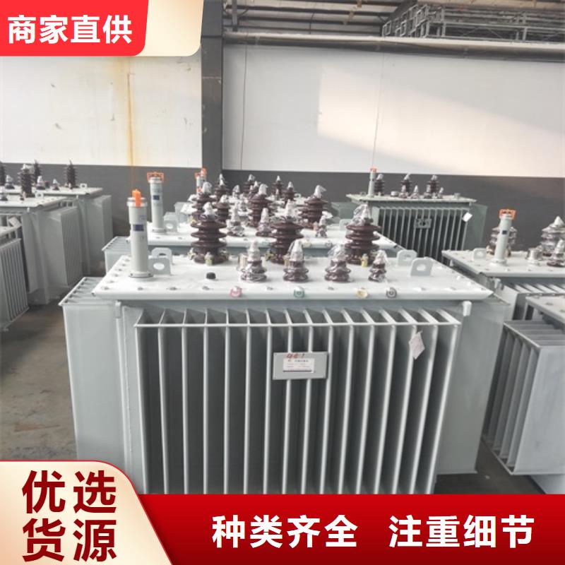 s20变压器能耗级别信赖