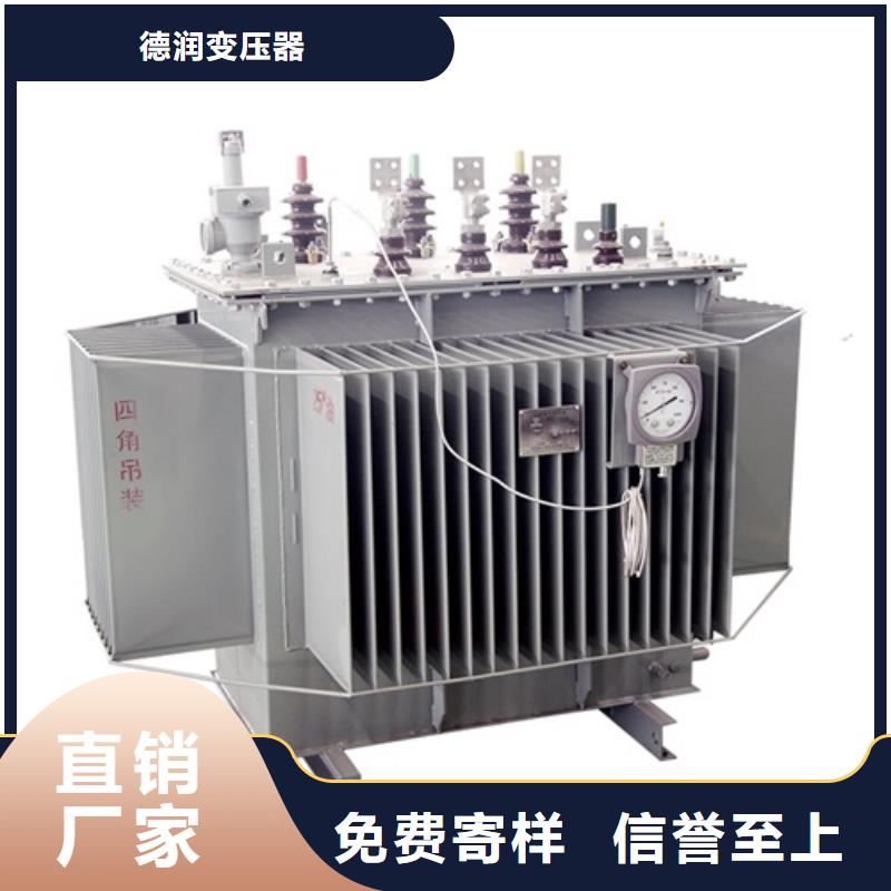 s20变压器标准规定售后无忧