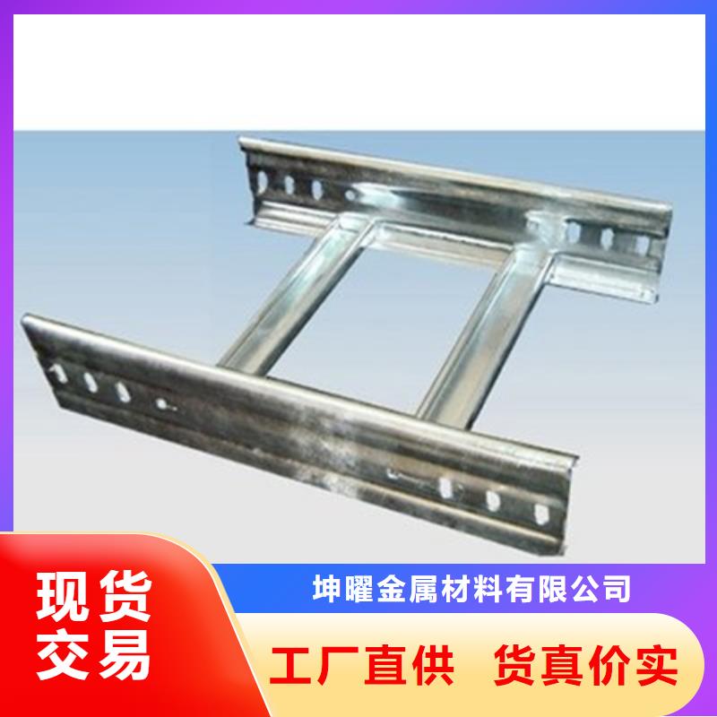 专业生产制造槽式桥架的厂家