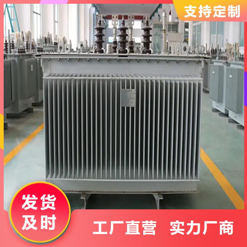 S13-m-160/10油浸式变压器现货批发