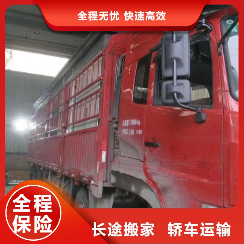 成都物流运输公司专线-视频-成都物流运输公司专线_浙江省舟山市市场覆盖定海|嵊泗|杭州|衢州|湖州|温州等