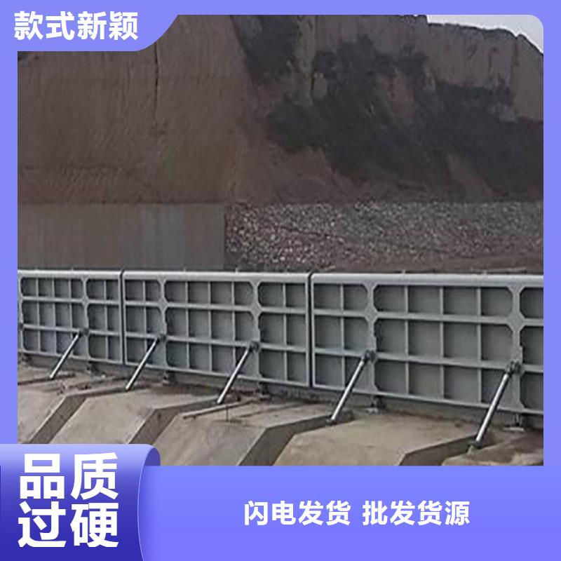  翻板闸门工厂直销
