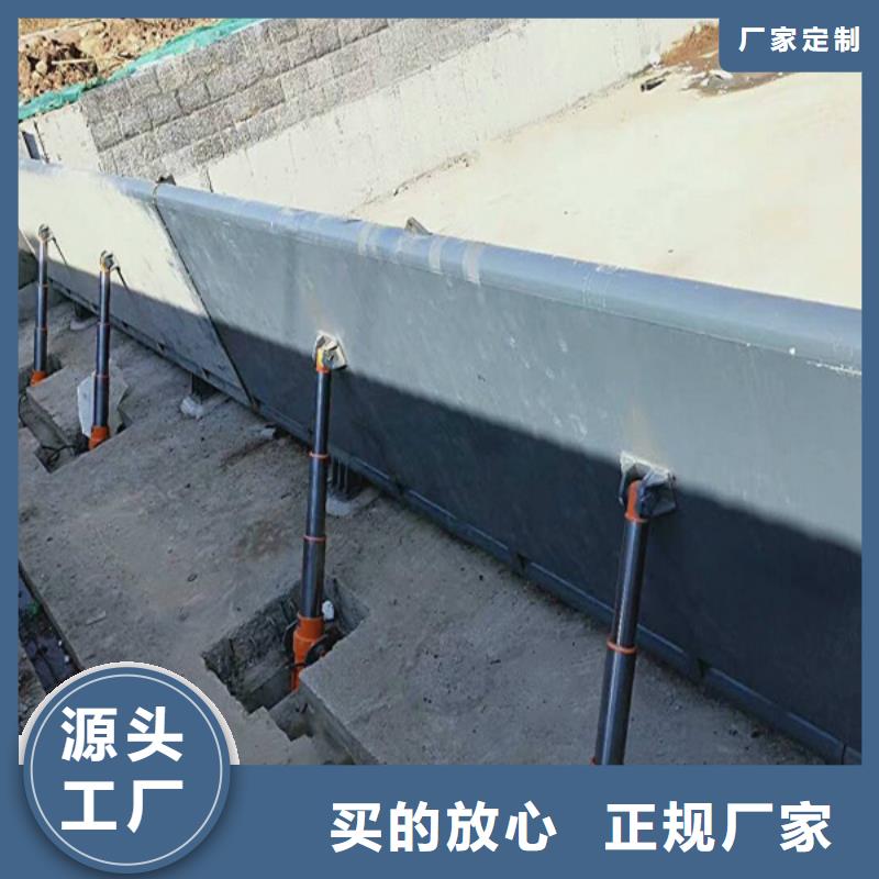  翻板闸门规格齐全实力厂家