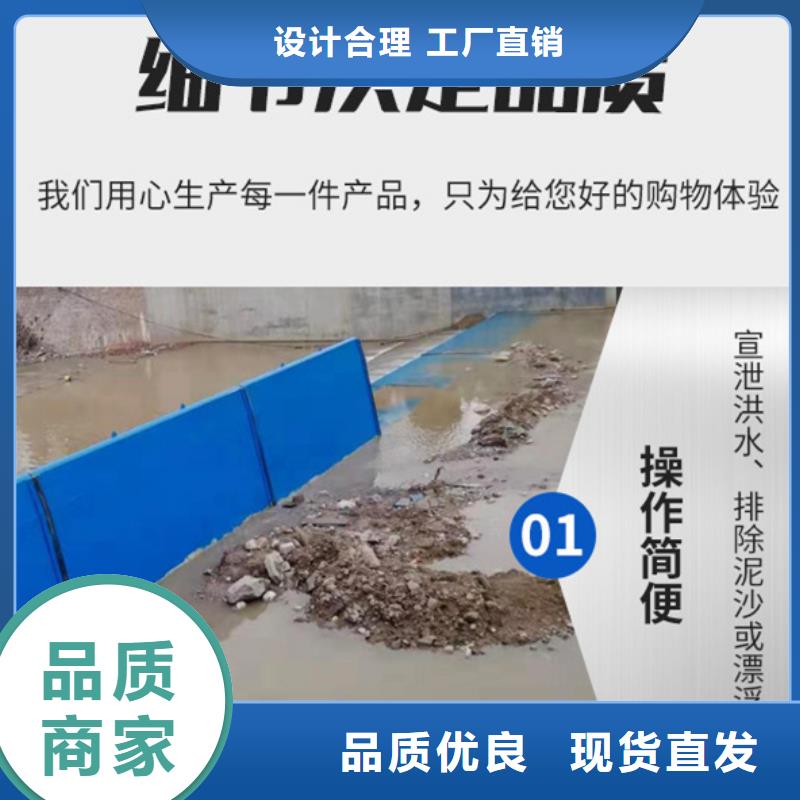 翻板闸门实力优品