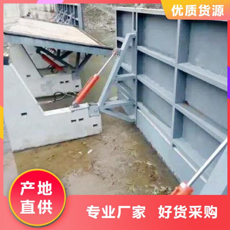 翻板闸门-视频-翻板闸门|林芝市|朗县|察隅|那曲|阿里|日喀则|昌都