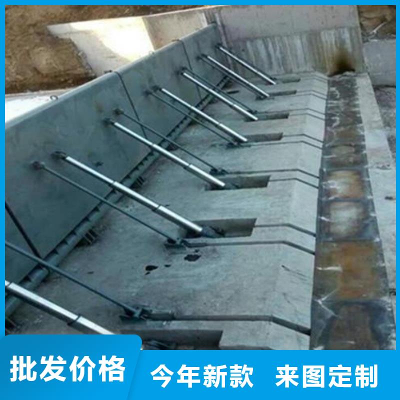  翻板闸门主推产品