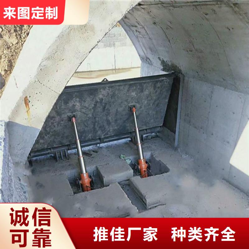 翻板闸门翻板门翻板闸门支持加工定制