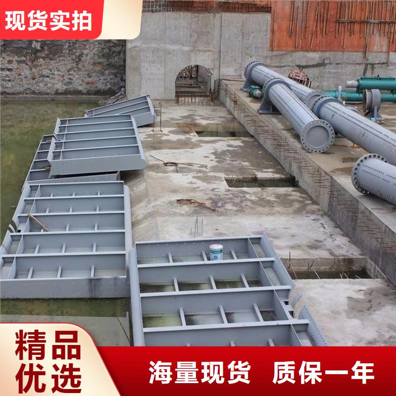  翻板闸门自有厂家