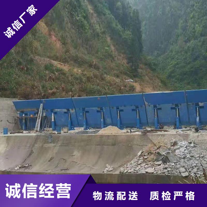  翻板闸门多年行业经验