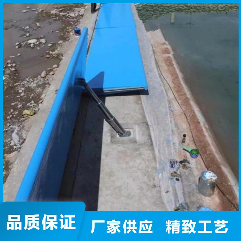 翻板闸门口碑好实力强