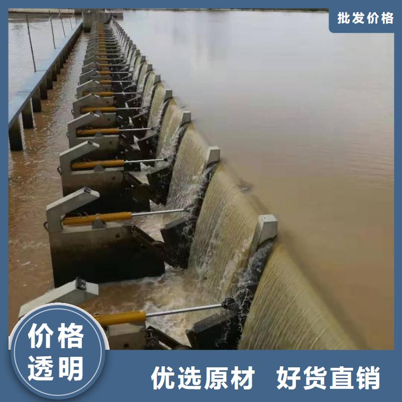 翻板闸门专业完善售后