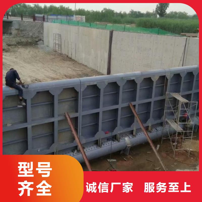  翻板闸门我们更专业