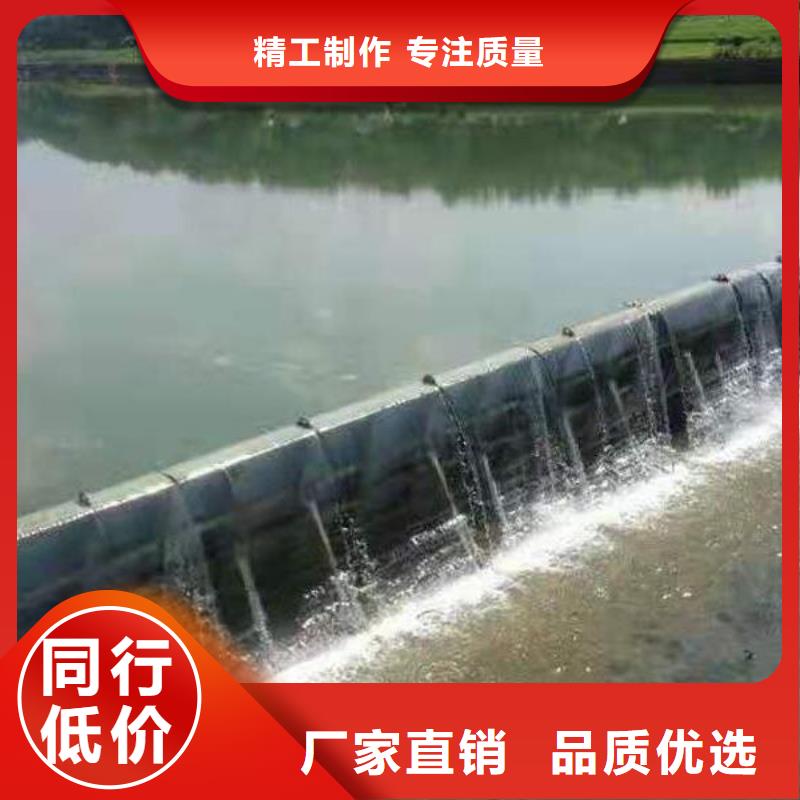 翻板闸门-地轴钢坝商家