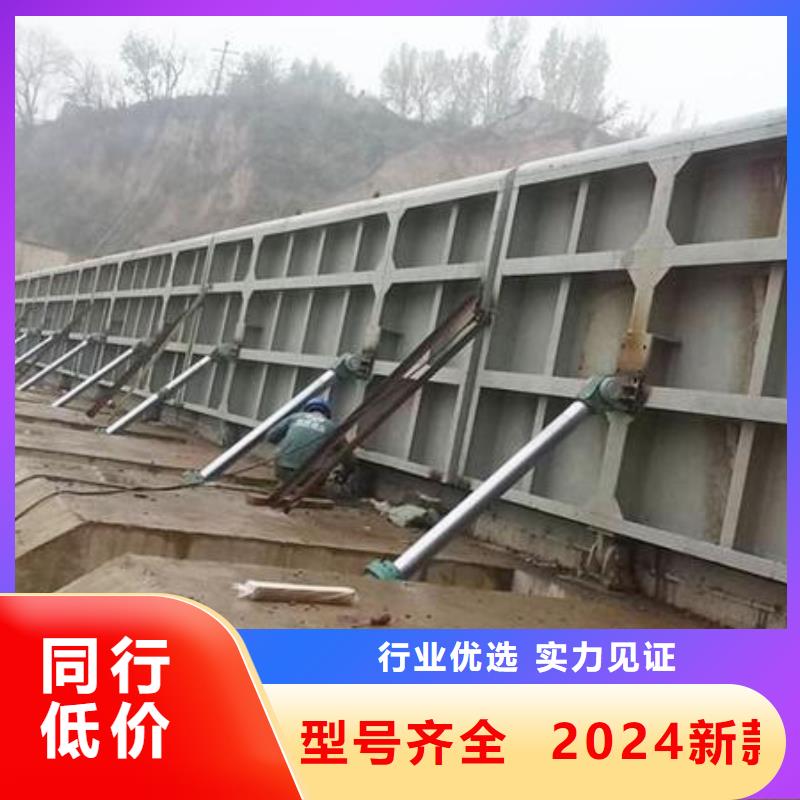 翻板闸门有实力有经验