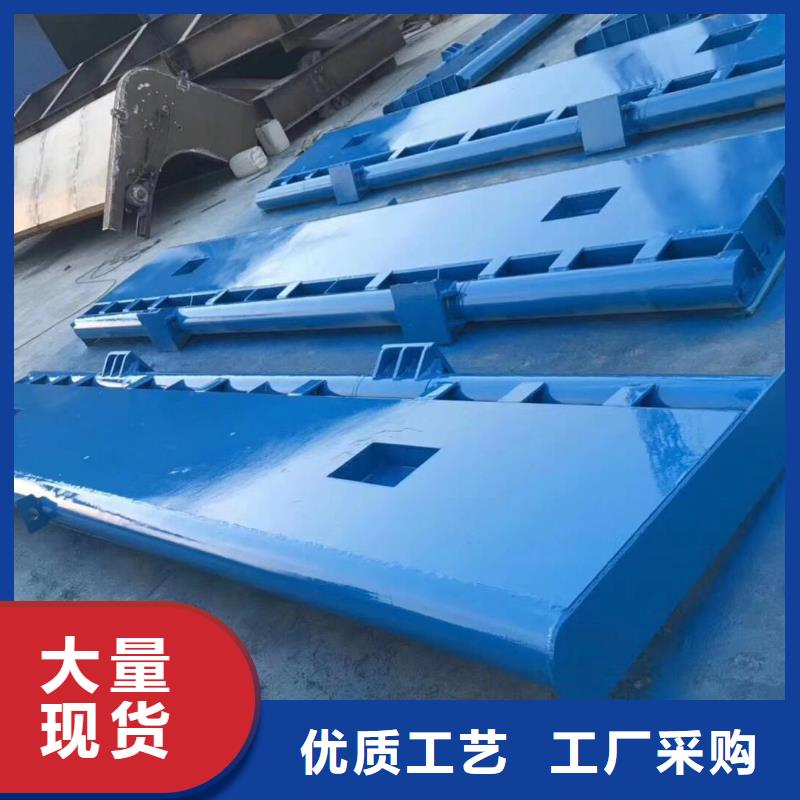 翻板闸门多年行业经验