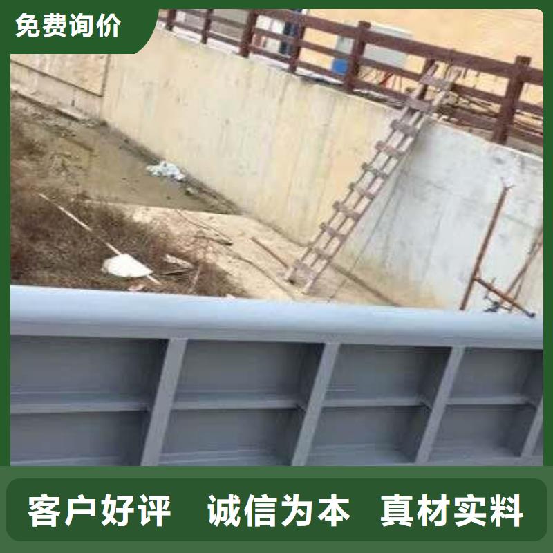  翻板闸门设备齐全支持定制