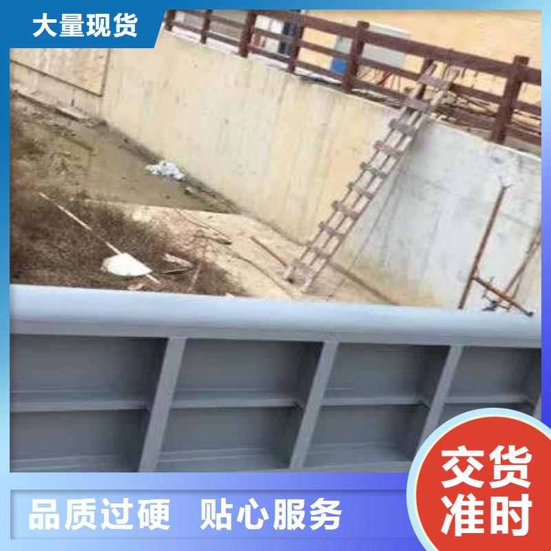  翻板闸门支持定制加工