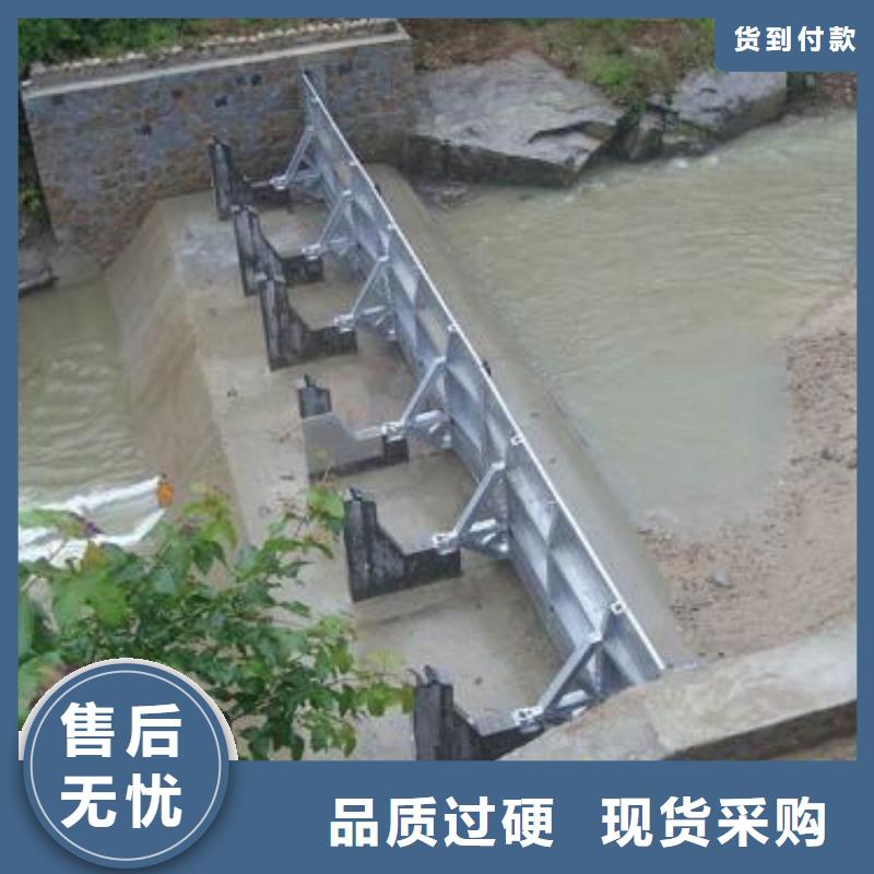  翻板闸门多年行业经验