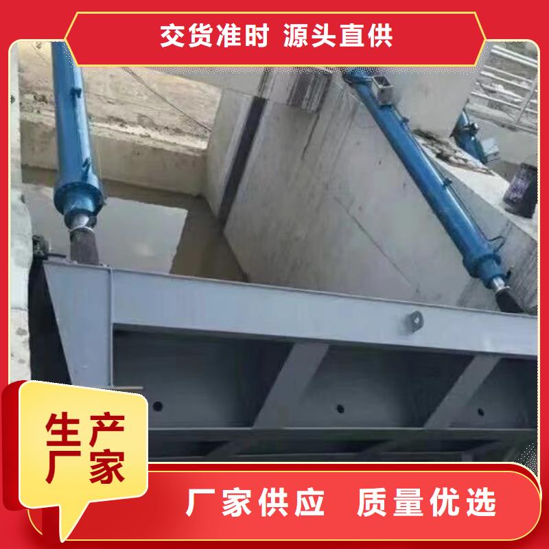 翻板闸门专心专注专业