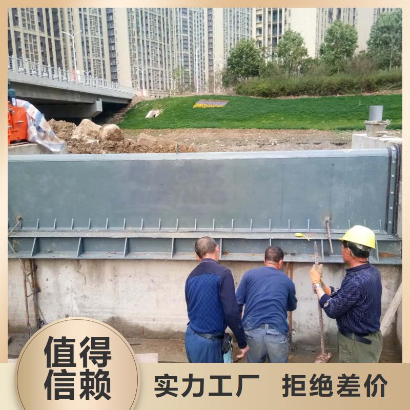 翻板闸门真材实料诚信经营