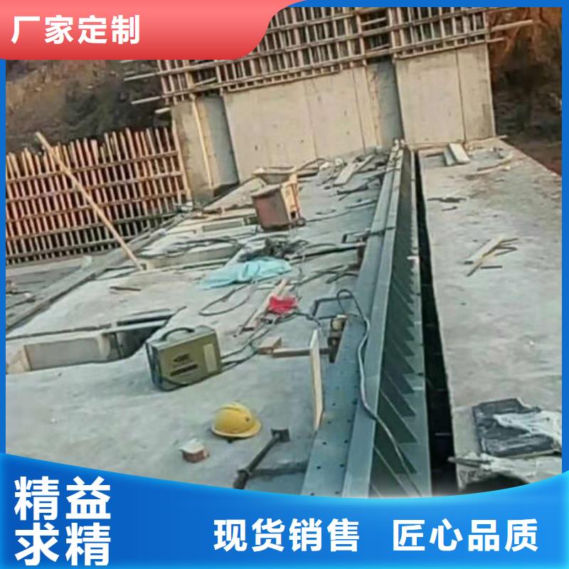 翻板闸门-视频-翻板闸门|林芝市|朗县|察隅|那曲|阿里|日喀则|昌都