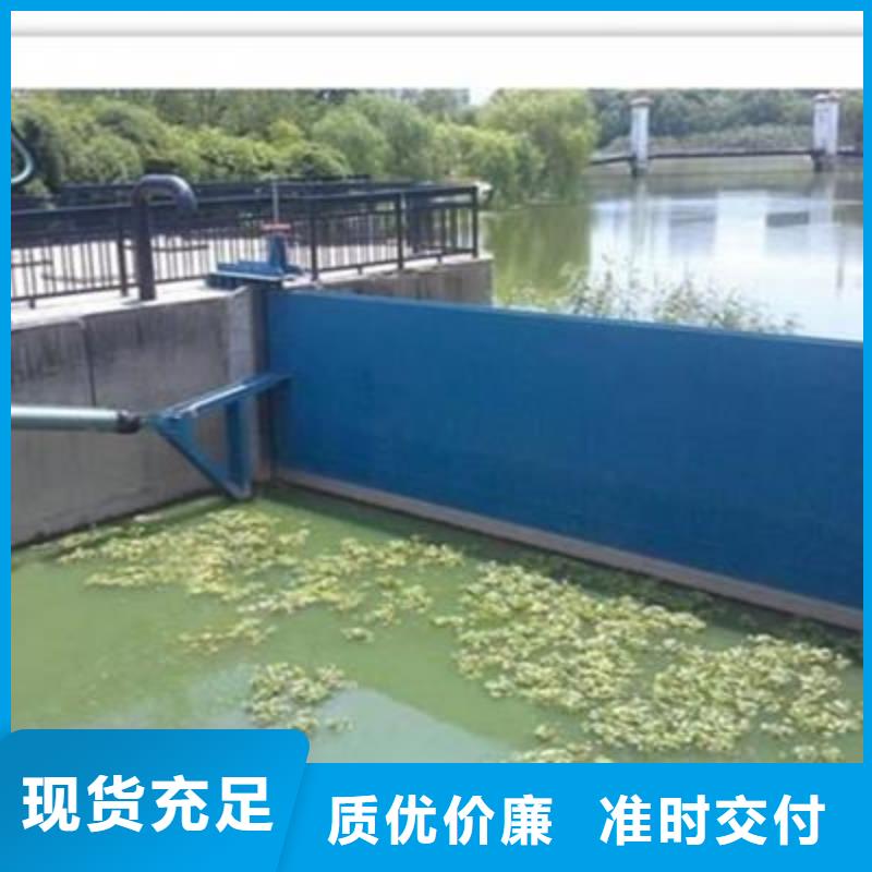 翻板闸门专注细节专注品质