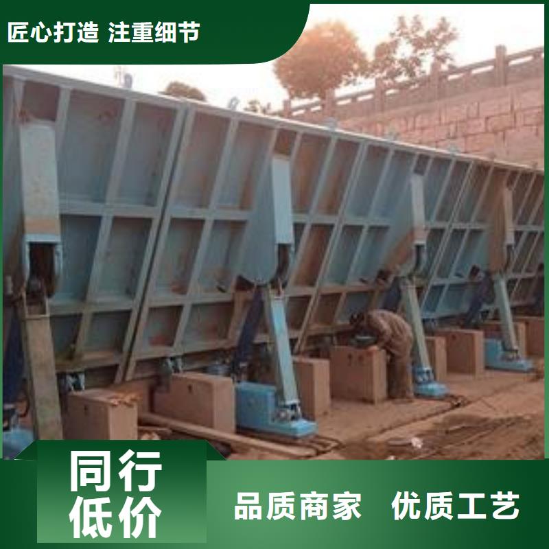  翻板闸门品质服务诚信为本